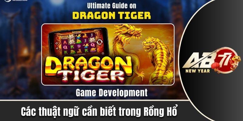 Các thuật ngữ cần biết trong rồng hổ