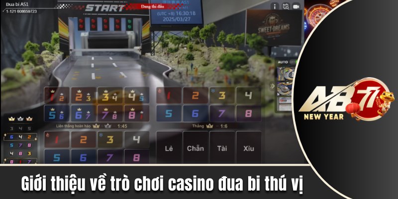 Giới thiệu về trò chơi casino đua bi thú vị