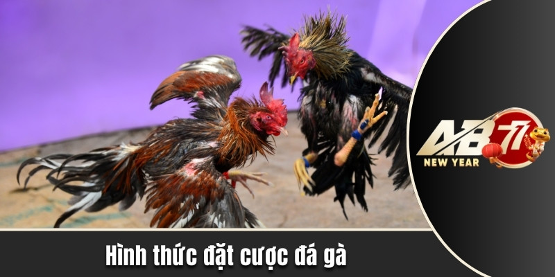 Hình thức đặt cược đá gà tại sảnh SWT