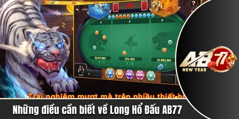 Những điều cần biết về Long Hổ Đấu AB77