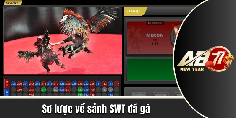 Sơ lược về sảnh SWT đá gà