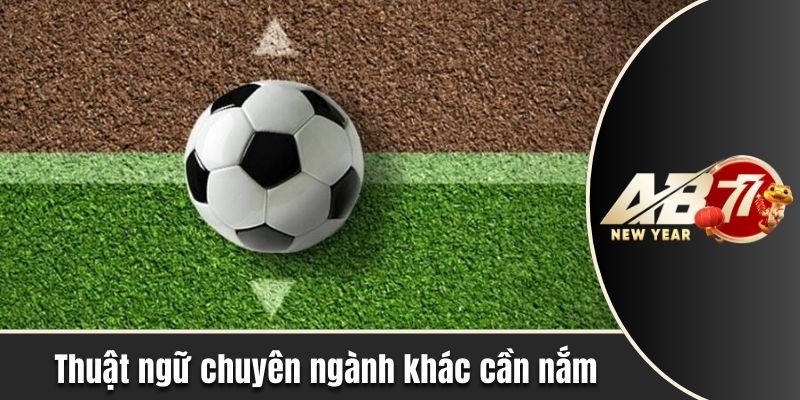 Thuật ngữ chuyên ngành khác cần nắm