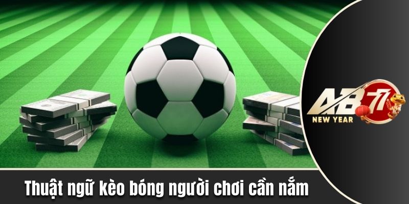 Thuật ngữ kèo bóng người chơi cần nắm