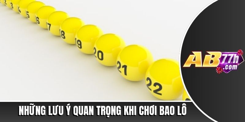 Bao lô là gì