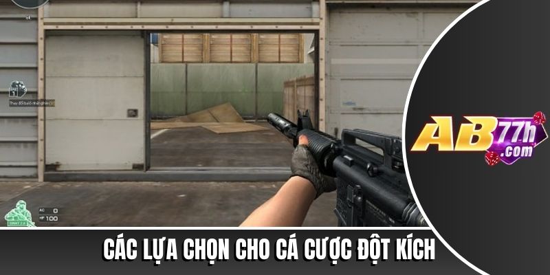Cá cược đột kích