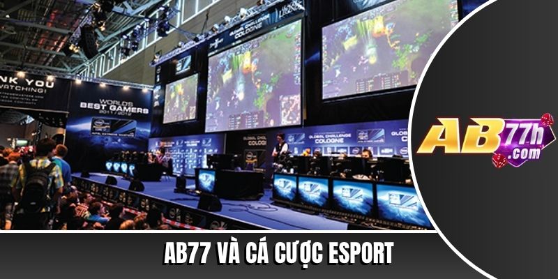 cá cược esport