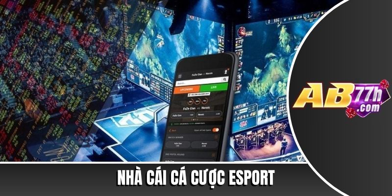 cá cược esport