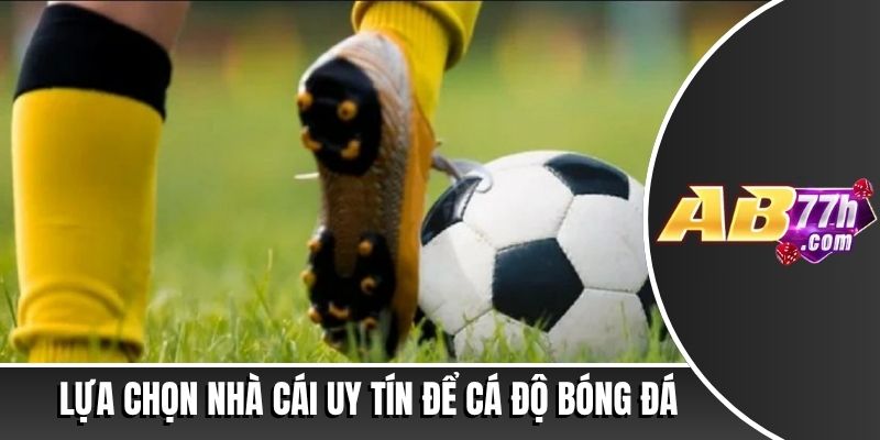 cá độ bóng đá là gì