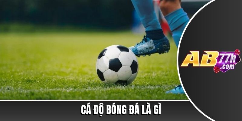cá độ bóng đá là gì