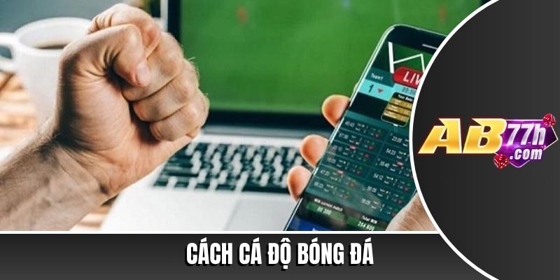 cách cá độ bóng đá