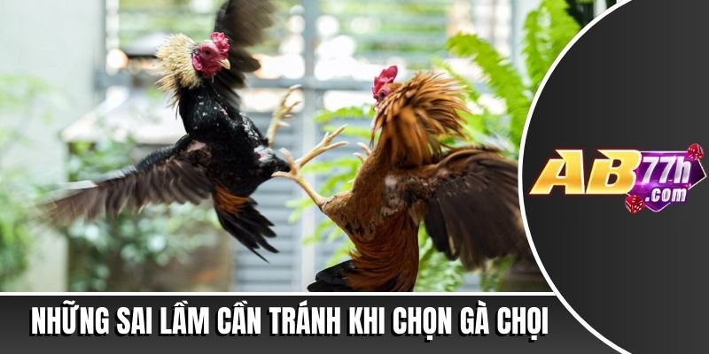 cách chọn gà chọi hay
