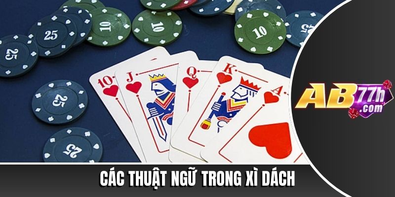 hình ảnh xì dách