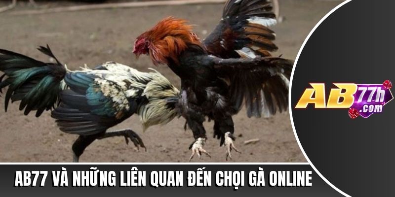 lễ hội chọi gà