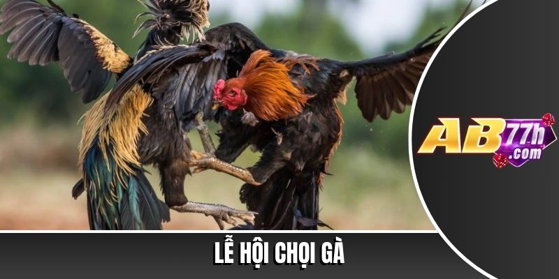 lễ hội chọi gà