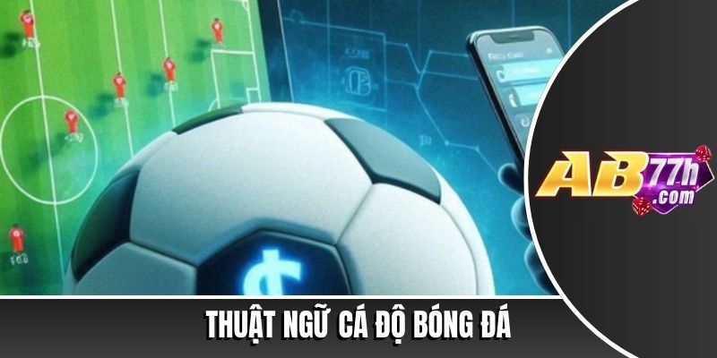 thuật ngữ cá độ bóng đá