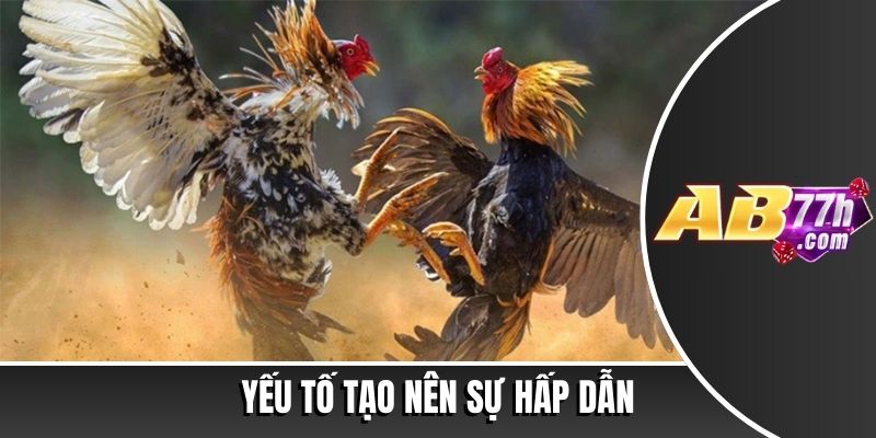 trận đá gà 24 tỷ
