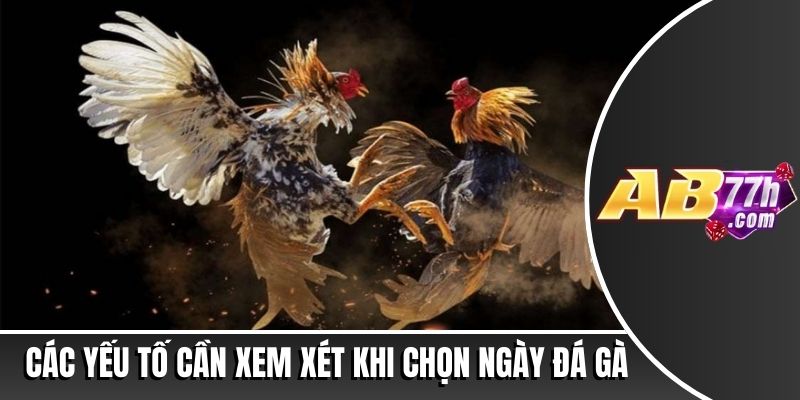 xem ngày đá gà theo 12 con giáp