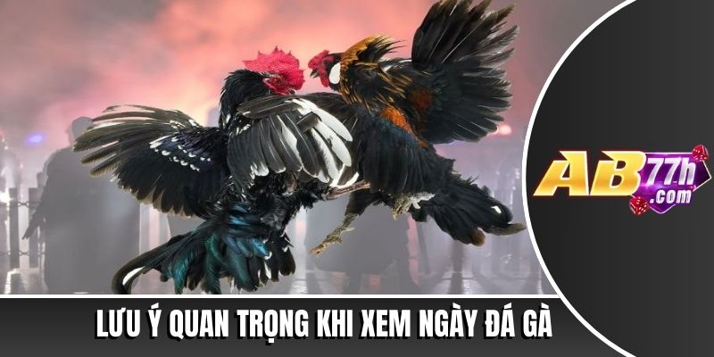 xem ngày đá gà theo 12 con giáp