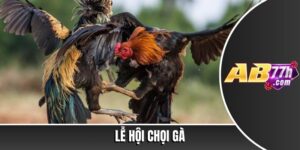 lễ hội chọi gà