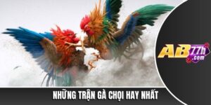 những trận gà chọi hay nhất