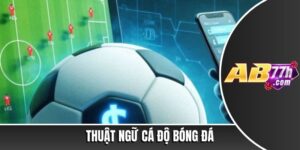 thuật ngữ cá độ bóng đá